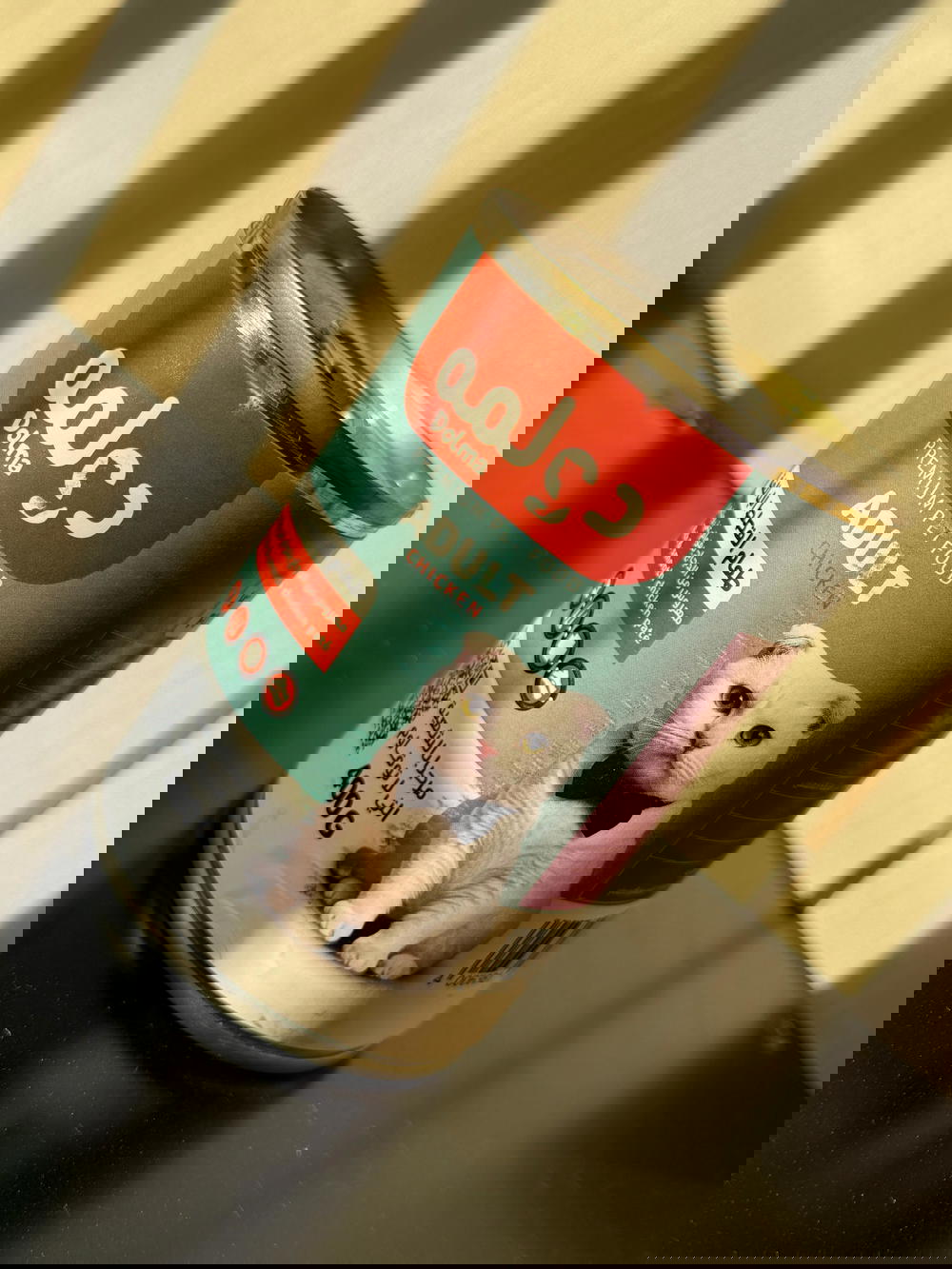 معلبات دولمه للقطط البالغه مهروسه  ٣ علب  Preview Image