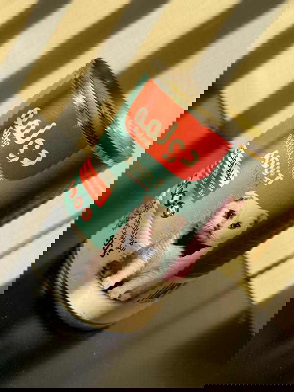 معلبات دولمه للقطط البالغه مهروسه  ٣ علب  Image 1 Preview