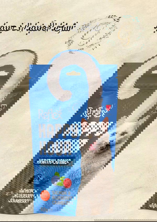 (مكافئات ).  Reflex Happy Hour Healthy Bones – Salmon, Blueberry & Cranberry – 60g Image 1 Preview