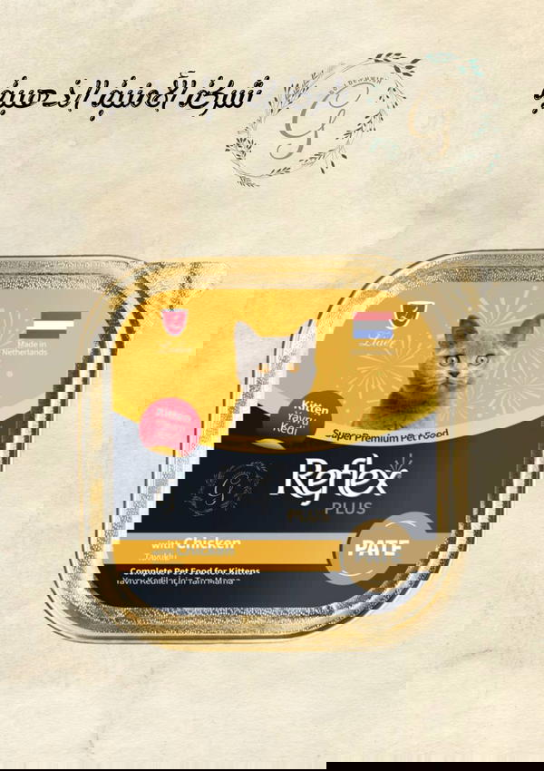 (مربعات ).  Reflex Plus Kitten Pate with Chicken – 100g Image 1 Preview
