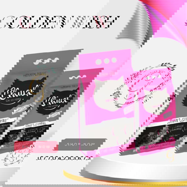 رمل 5 لتر  للقطط "Chuck" الإيطالي – الفخامة الأوروبية في كل حبة! Image 4 Preview