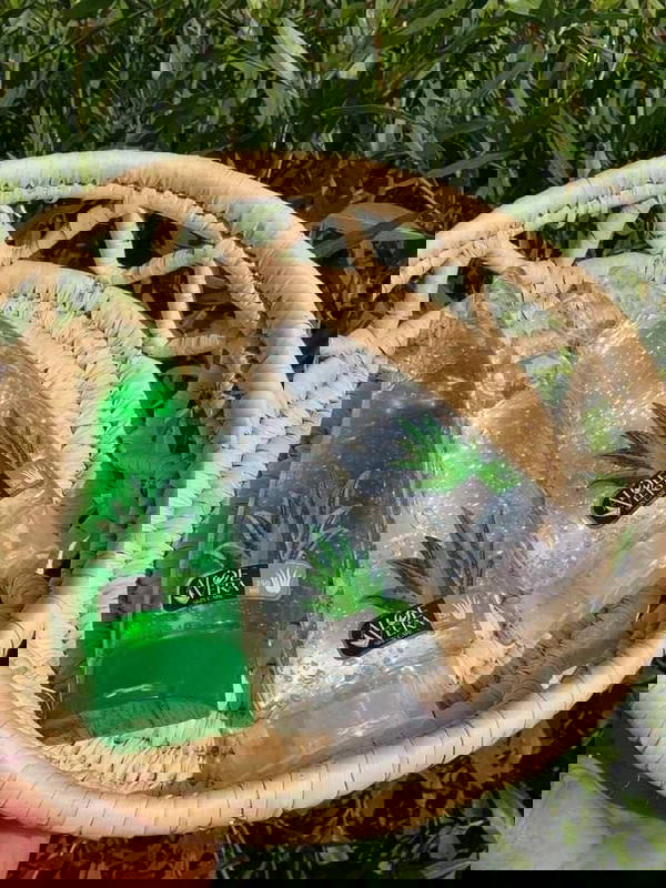 جيل الصبار الصبارة  Image 2 Preview