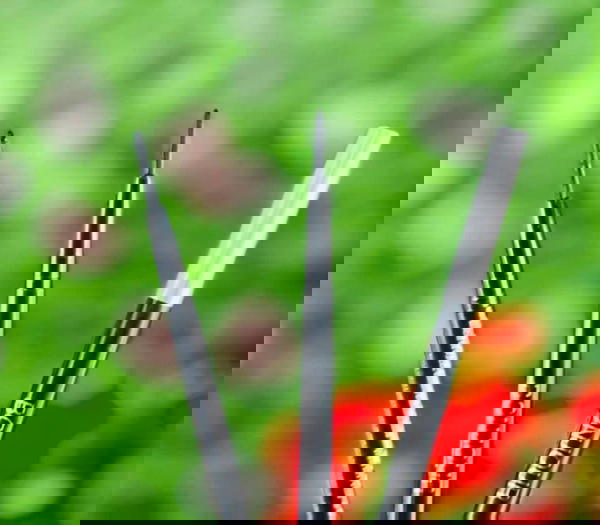 كحل بنجور اسود ماتيك  Image 2 Preview