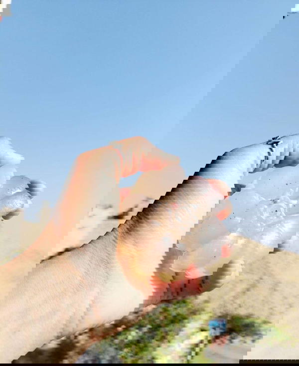 صابونة لبان الدكر  Image 7 Preview