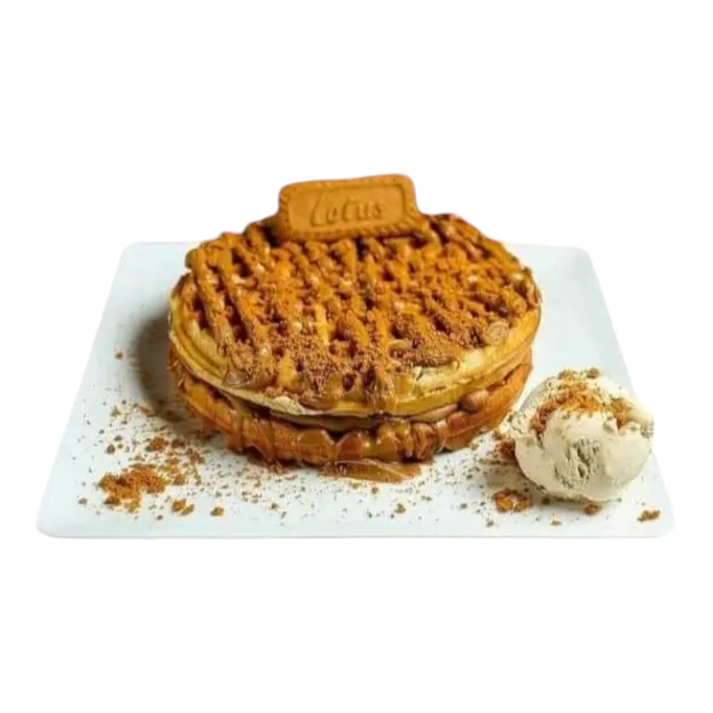 Torte Lotus Preview Image