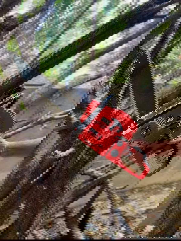 منشار حطب يعمل على البنزين Image 8 Preview