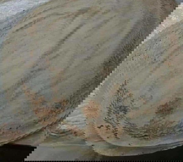 عيش سورى Image 2 Preview