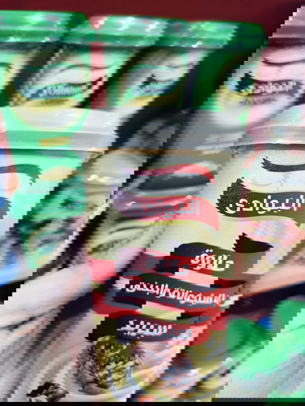 حلاوة البوادي سبريد بالشيكولاتة والبندق 285جرام Image 1 Preview