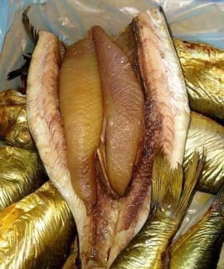 رنجة ابو السيد مبطرخ Preview Image
