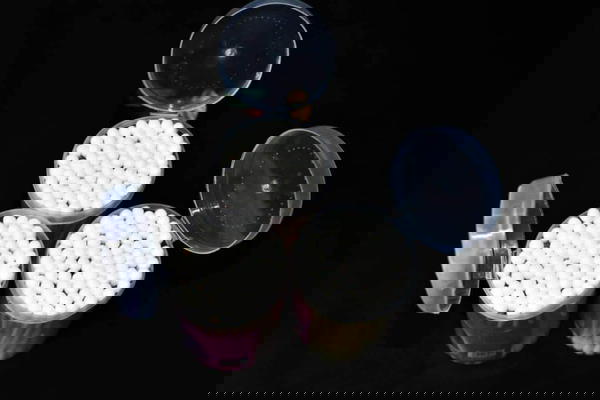 ودانه خشب  Image 1 Preview