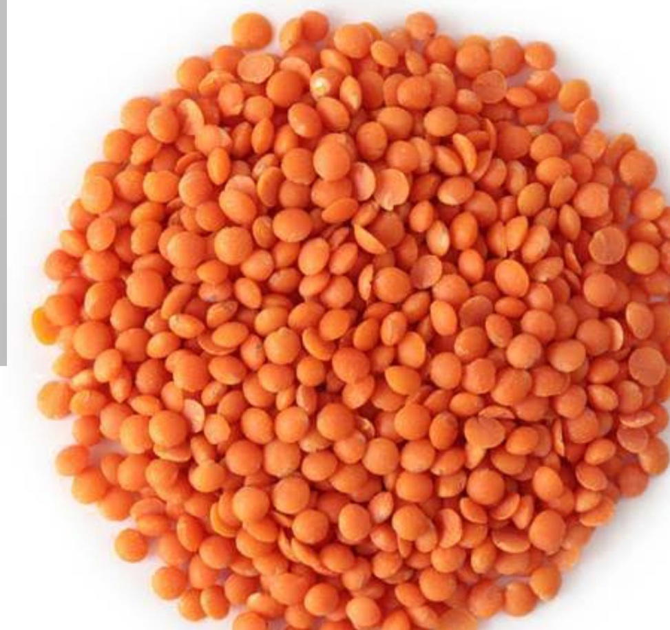 عدس اصفر سايب Preview Image