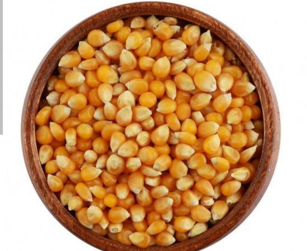 ذرة فشار  Preview Image