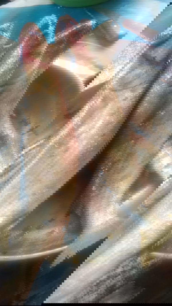 فسيخ دسوق ٤ فالكيلو Image 1 Preview
