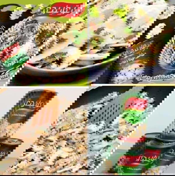 مشروم توليدو  Image 2 Preview