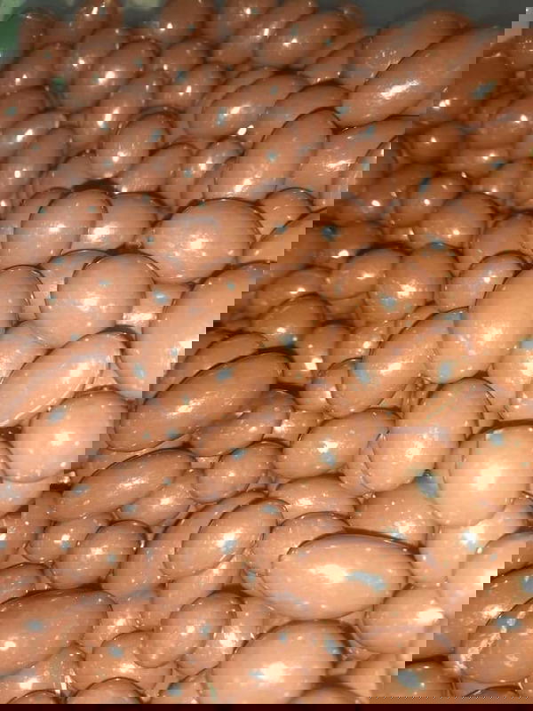 سوداني شيكولاتة Image 1 Preview