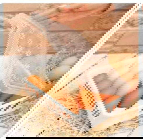 علبه بيض Image 1 Preview
