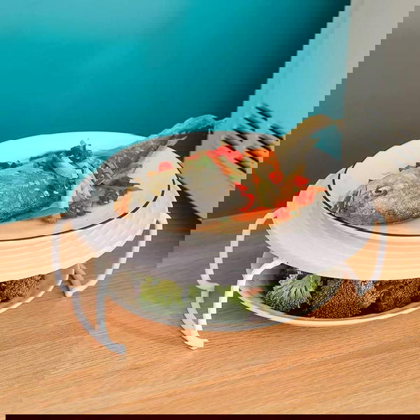 رف ميكروويف تركي Image 1 Preview