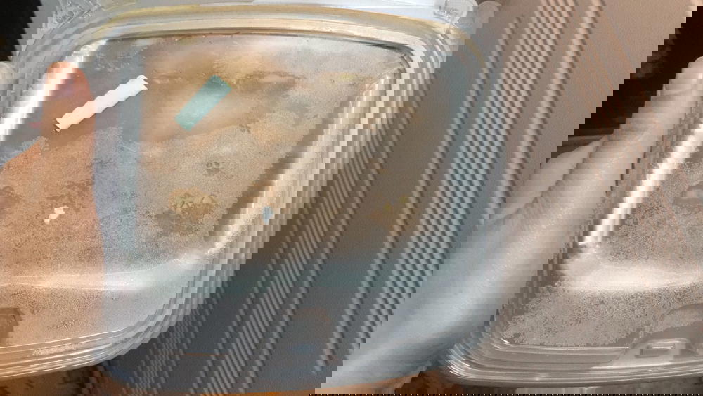 بسبوسه الذره Preview Image