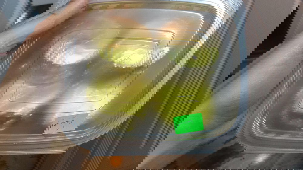 بيمبو  Preview Image