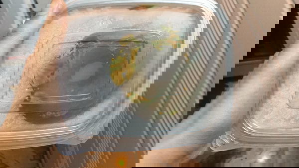 دونتس Image 1 Preview