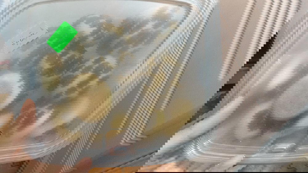 كوكيز فانليا Preview Image