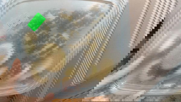 كوكيز فانليا Image 1 Preview