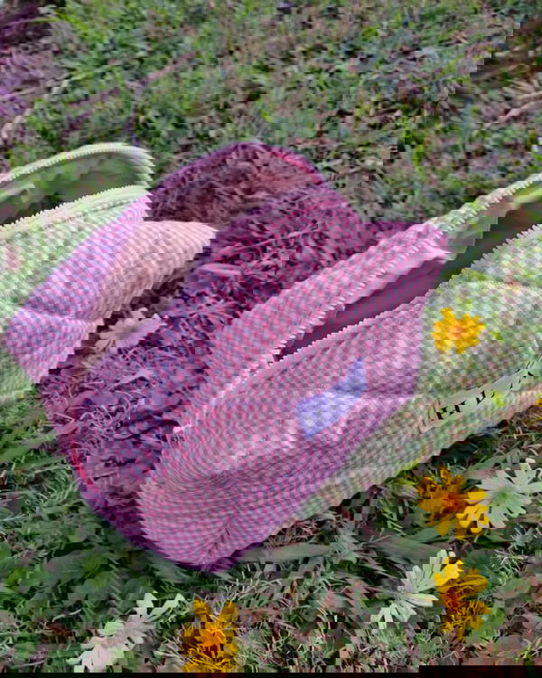 pinky pouch Image 2 Preview