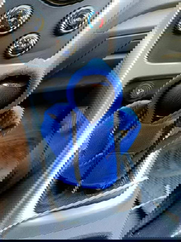 هودي فتيس السياره  Image 1 Preview
