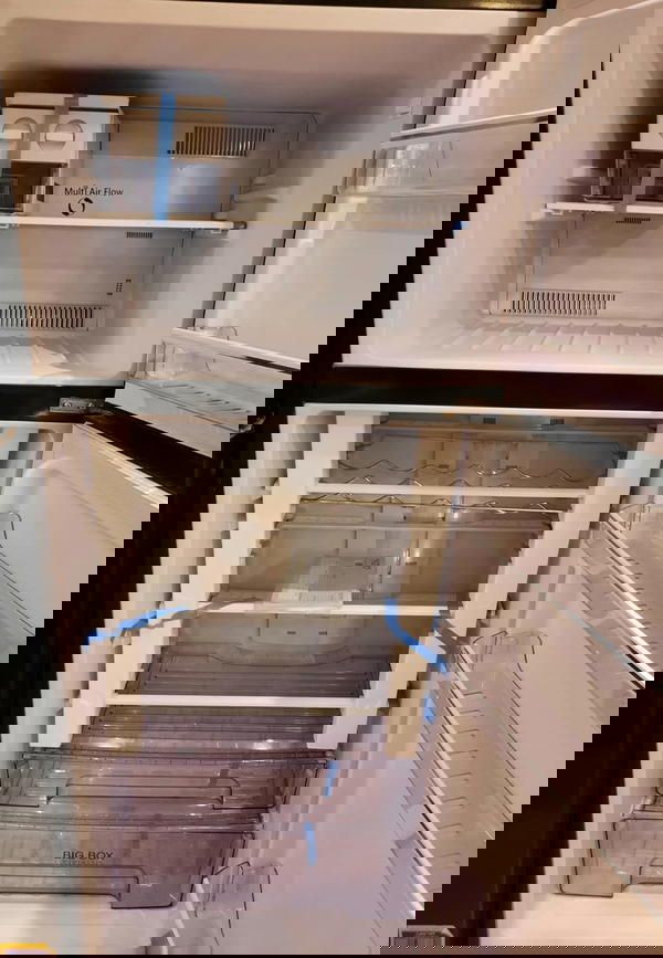 ثلاجة يونيون اير سوبرتك 545 لتر زجاج اسود رسمة طاووس ذهبي-URN-650D  Image 5 Preview