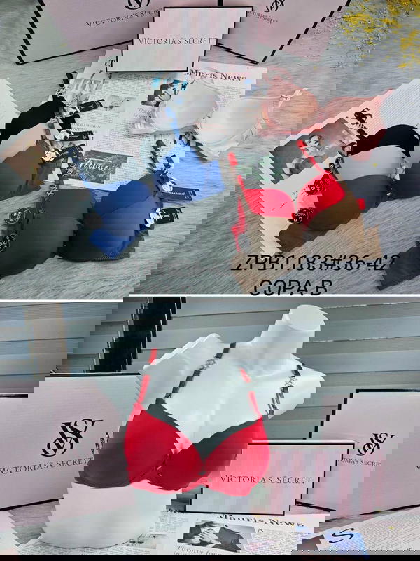 1183 اسفنج وعظم Image 1 Preview