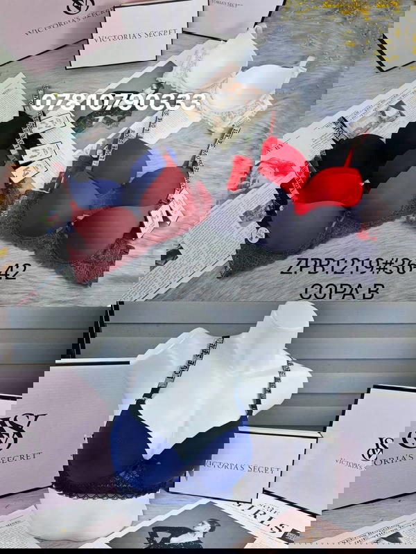 1219 اسفنج وعظم Image 1 Preview