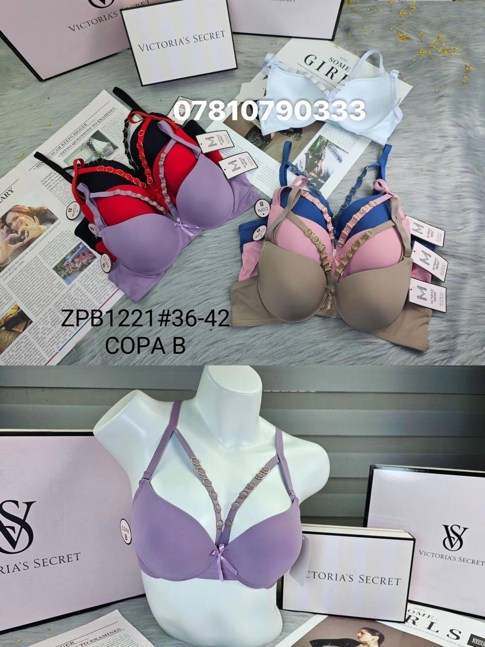 1221 اسفنج وعظم Preview Image