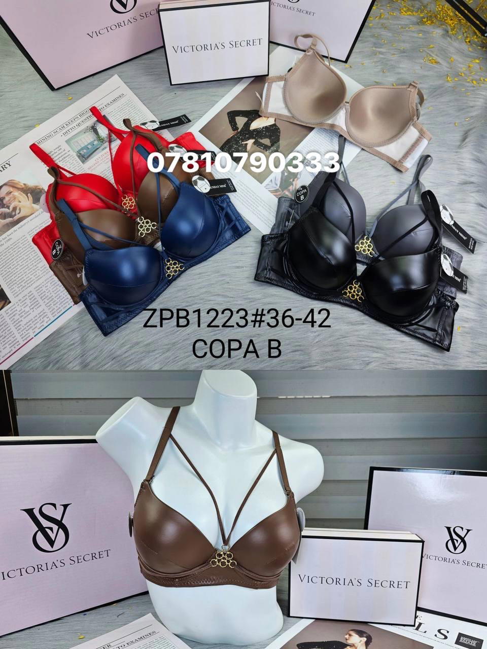 1223 اسفنج وعظم Preview Image