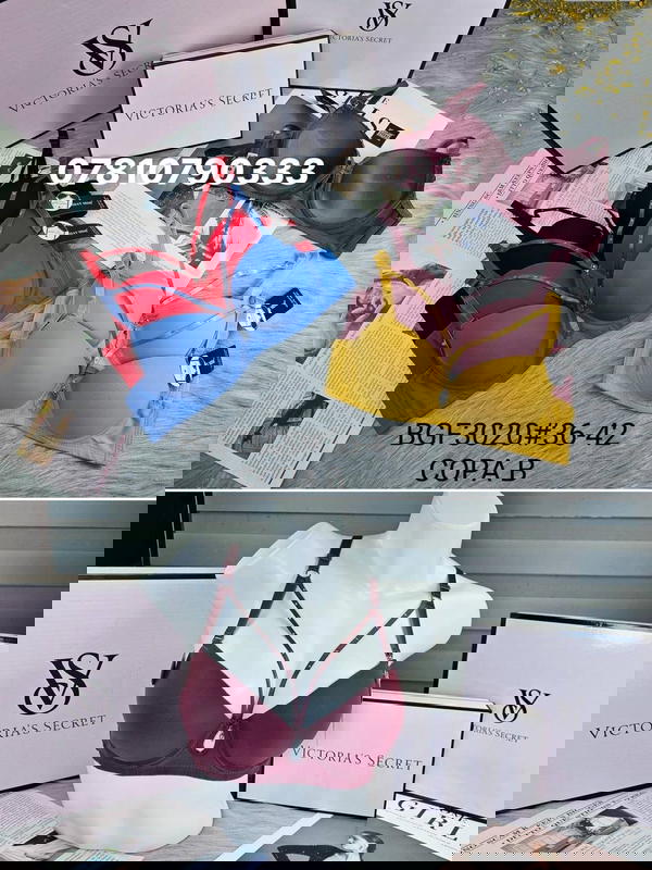 3020 اسفنج وعظم Image 1 Preview