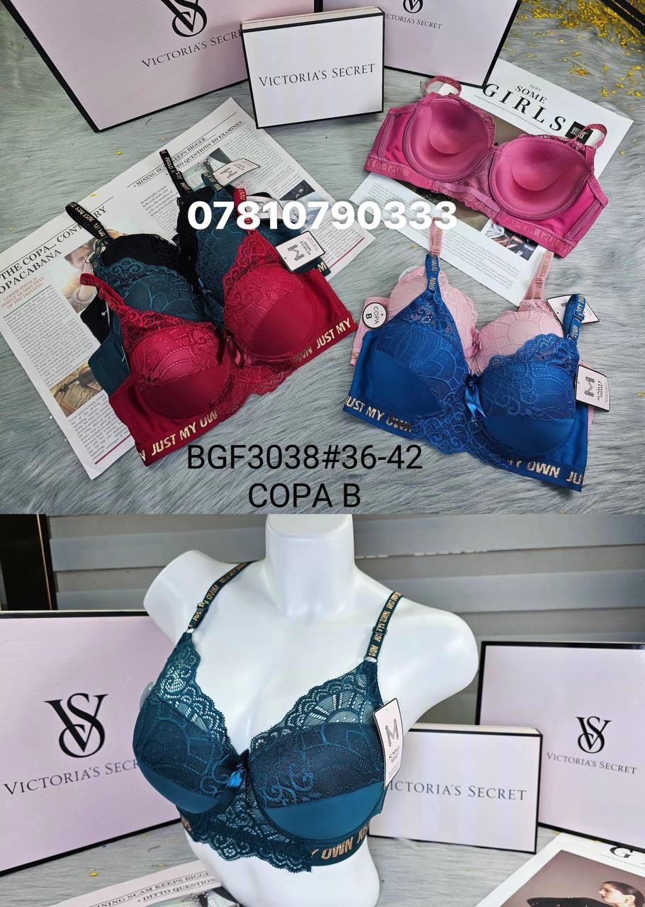 3038 اسفنج وعظم Preview Image