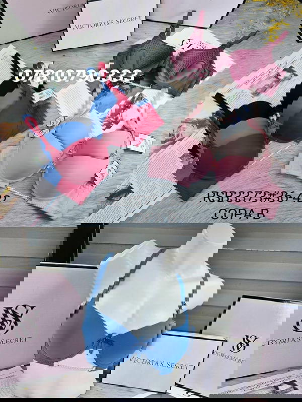 3373 اسفنج وعظم  Image 1 Preview