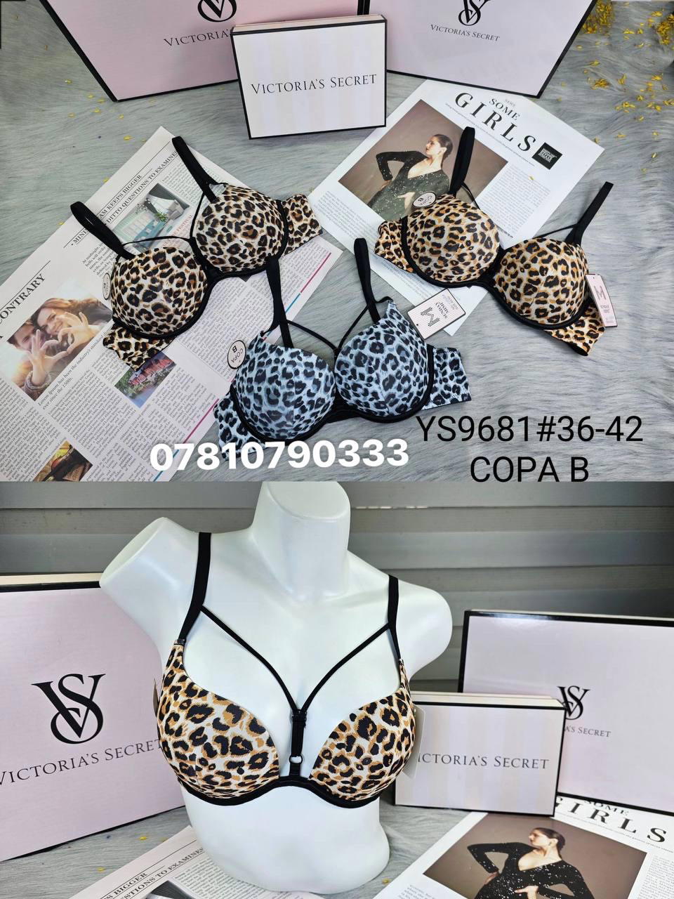 9681 اسفنج وعظم Preview Image