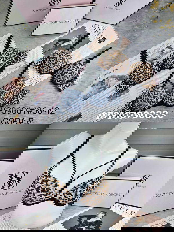 9681 اسفنج وعظم Image 1 Preview