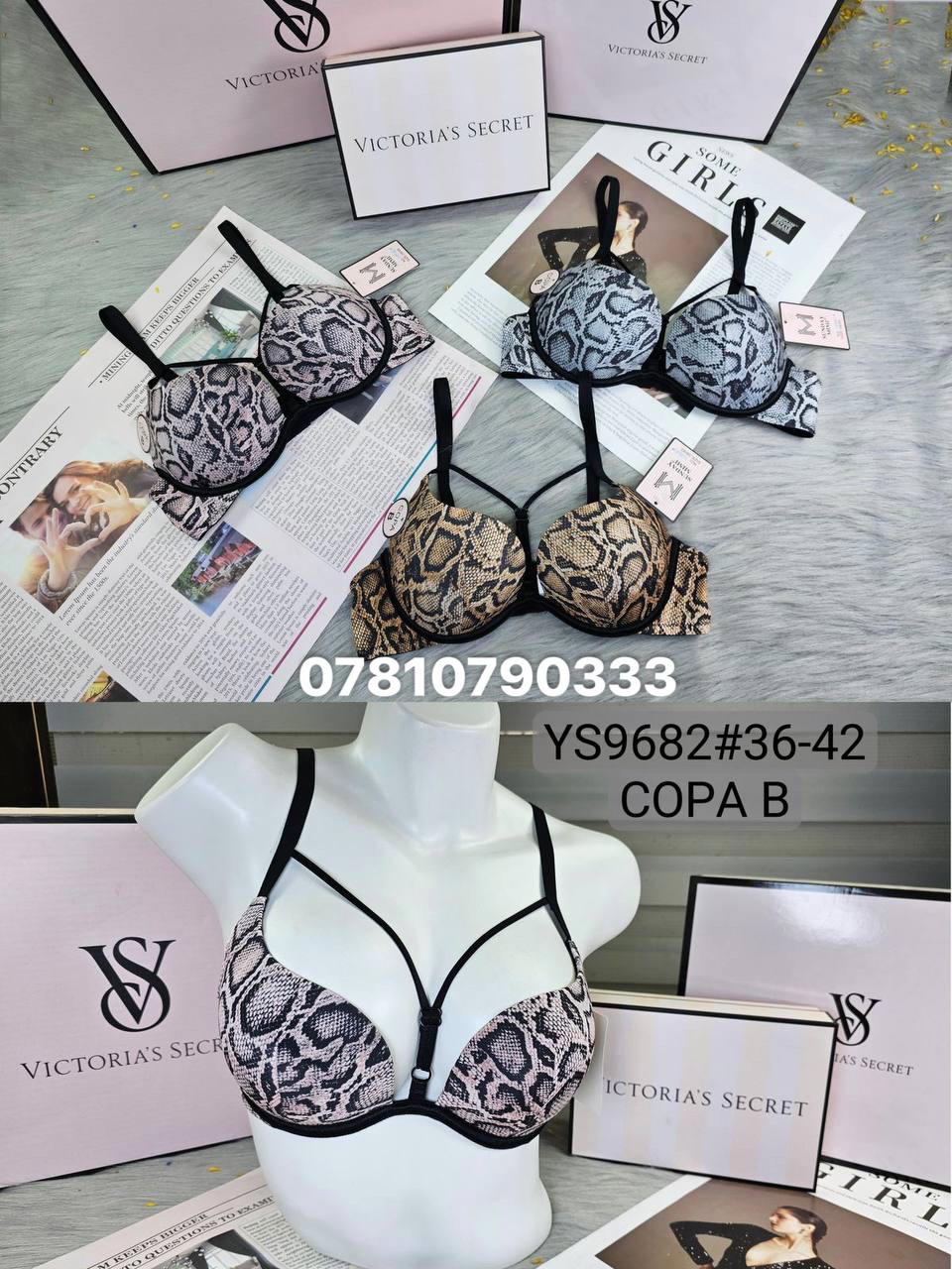 9682 اسفنج وعظم  Preview Image