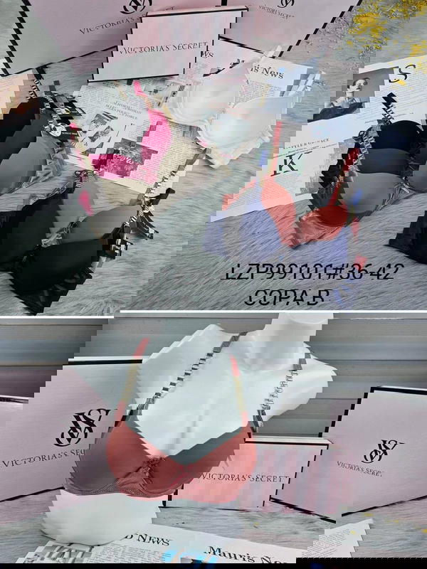 99101 اسفنج وعظم Image 1 Preview