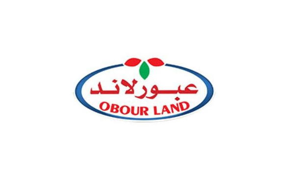 جبنة عبور لاند بسطرمة 1/4  كجم Image 1 Preview
