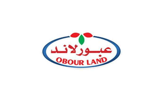 جبنة عبور لاند  فلامنك 1/4  كجم Preview Image