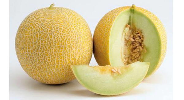 كنتلوب Image 1 Preview