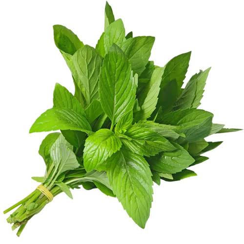 نعناع Image 1 Preview