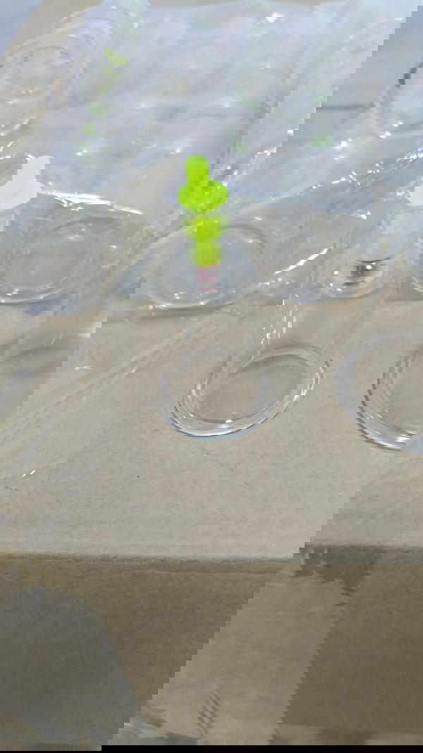 كاسة حجامة كرتون500 كاسة Image 4 Preview