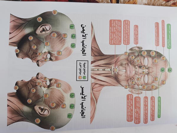 ملزمة خرائط الحجامة Image 1 Preview