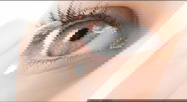 عدسات لاصقه شفافه جونسون مؤقتة Image 2 Preview