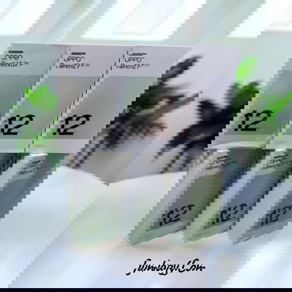 جهاز Oppo Reno 12F 5G -(مدفوع ضريبة)- دولي 12\256 جيجا Image 1 Preview
