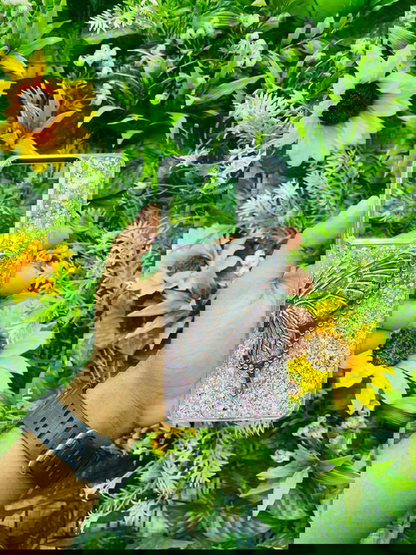 جراب فـراشـة استرس (فـري) Image 4 Preview