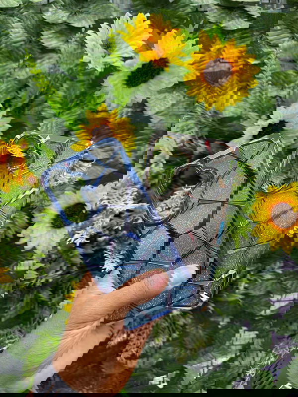 جراب كـريـسـتـال (فـري) Image 3 Preview